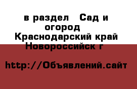  в раздел : Сад и огород . Краснодарский край,Новороссийск г.